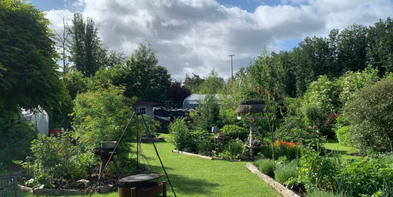 Blick in den Garten