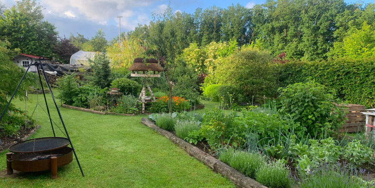 Blick in den Garten