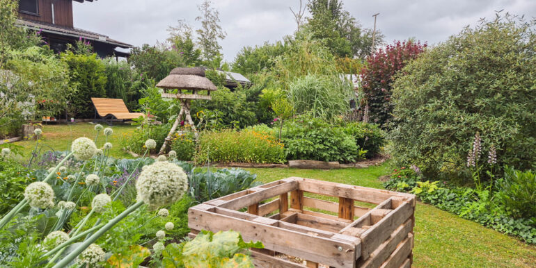 Blick in den Garten
