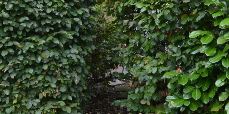 Seiteneingang zum Garten
