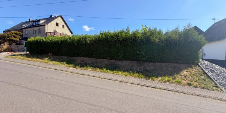 Frontansicht