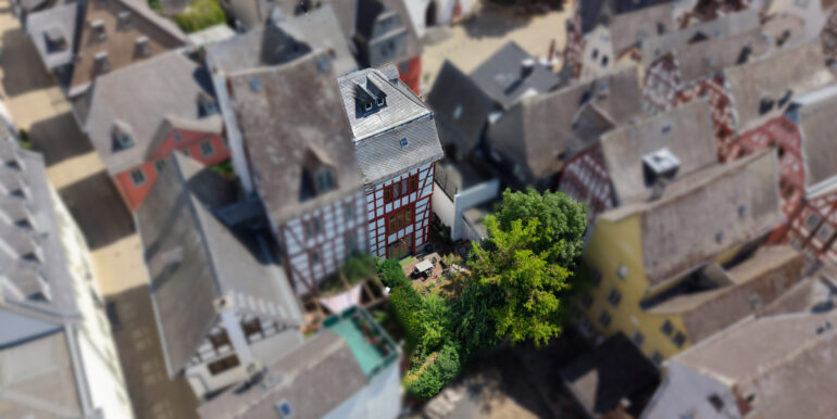 Rückansicht-Garten