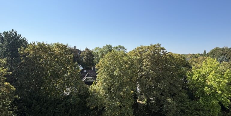 Ausblick