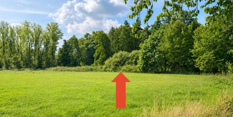 Waldgrundstück