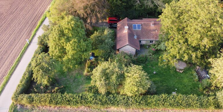 Blick auf Haus und Garten