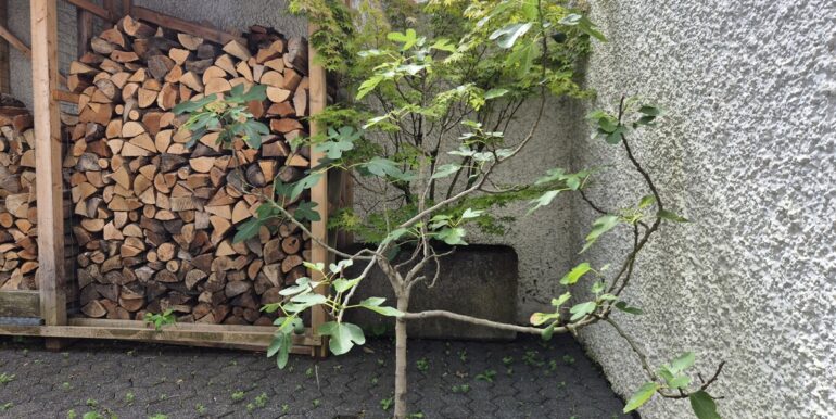 ...mit Feige vor dem Fenster...