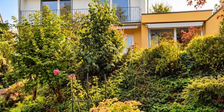 Blick aus dem Garten