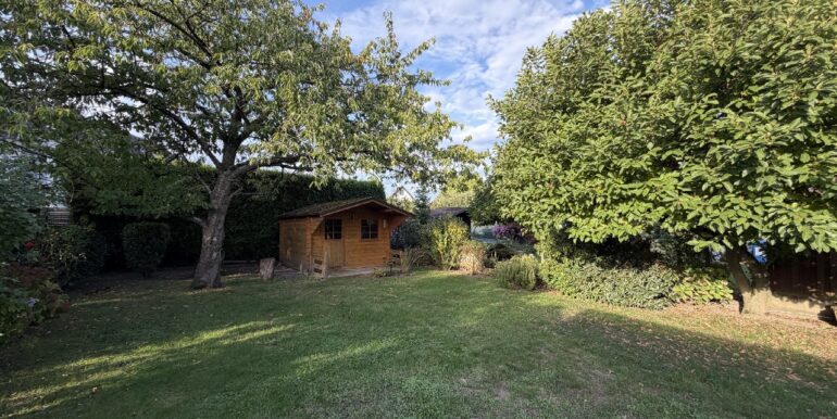 Blick in den Garten
