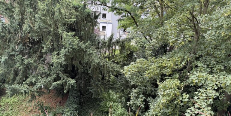 Balkonblick in die Gärten