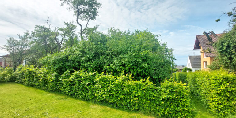 Rückansicht (vor der Rodung)
