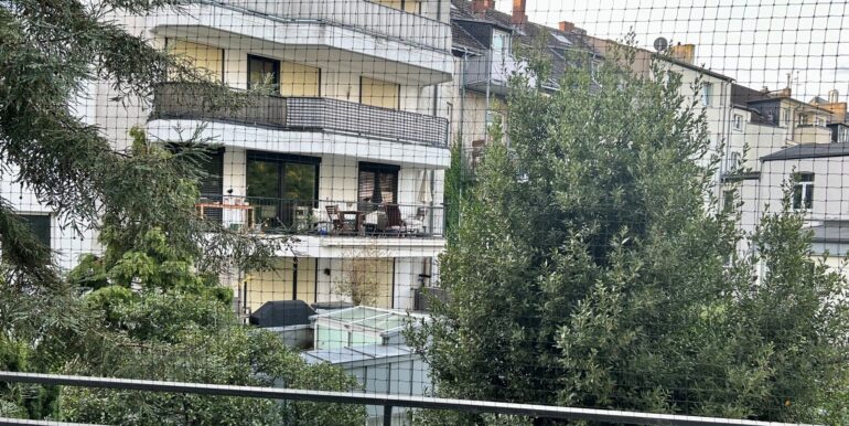 Ausblick von Rückansicht