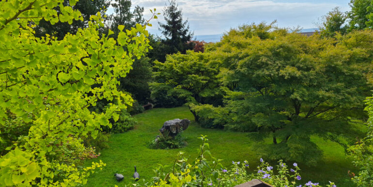 Blick in den Garten