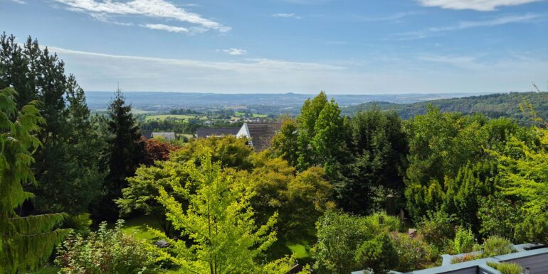 Fernblick