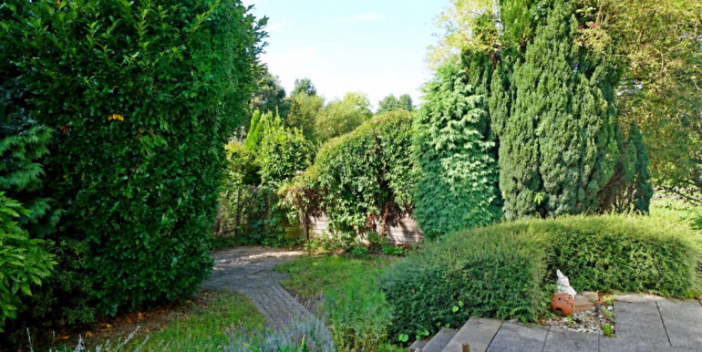 Hübscher Garten