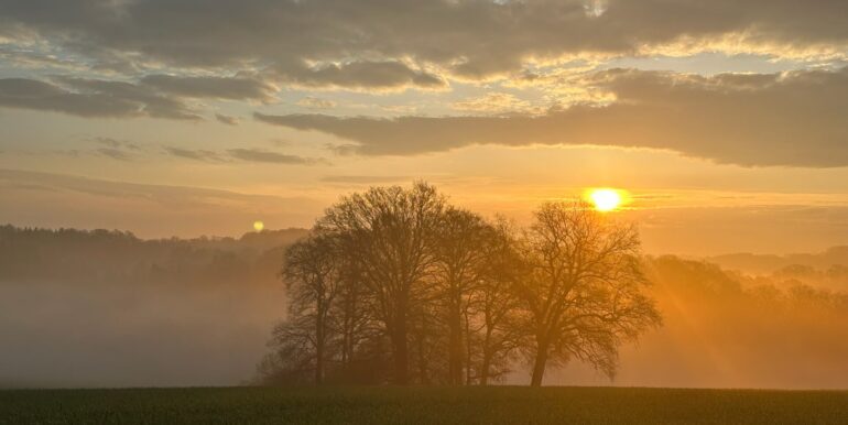 Abendstimmung