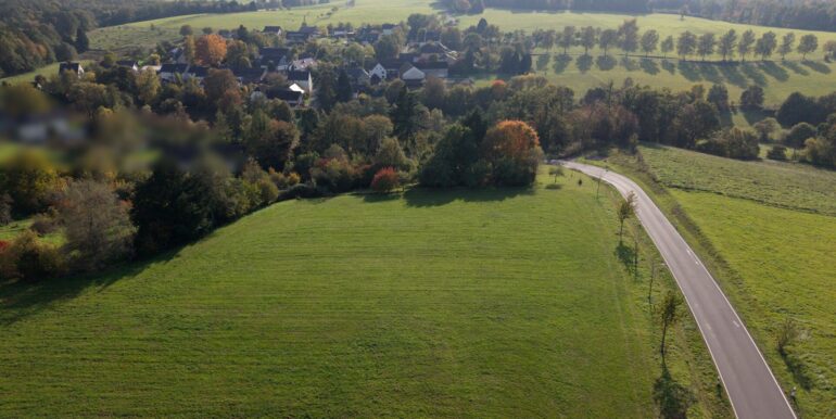 Weidefläche