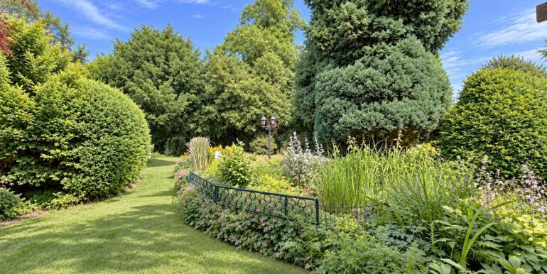 Blick in den Garten